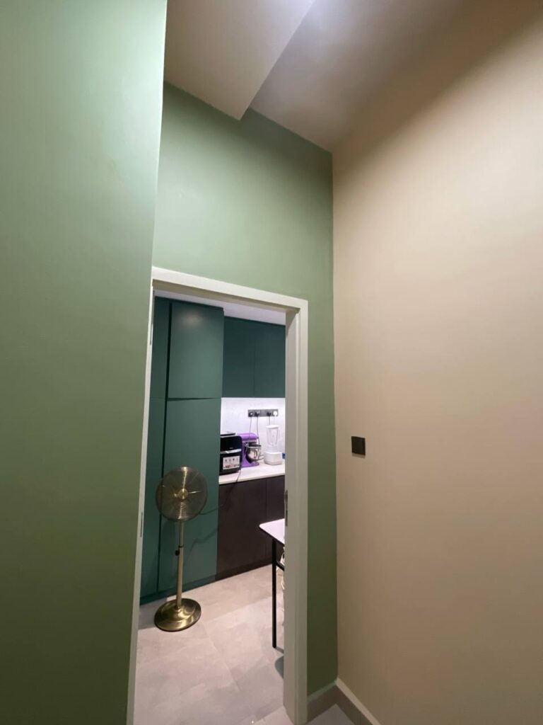 Interior wall and ceiling painting work